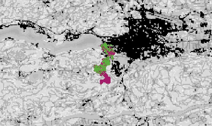 IBM turtles switching pen coolours 3